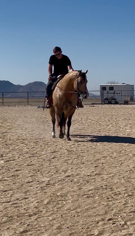 Moreno Valley Equestrian Center photo 1